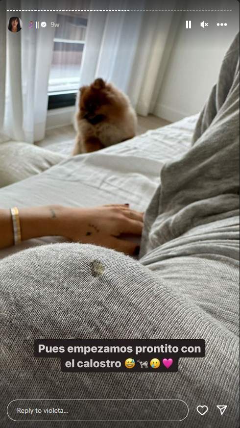 História d'Instagram / @violeta História d'Instagram / @violeta