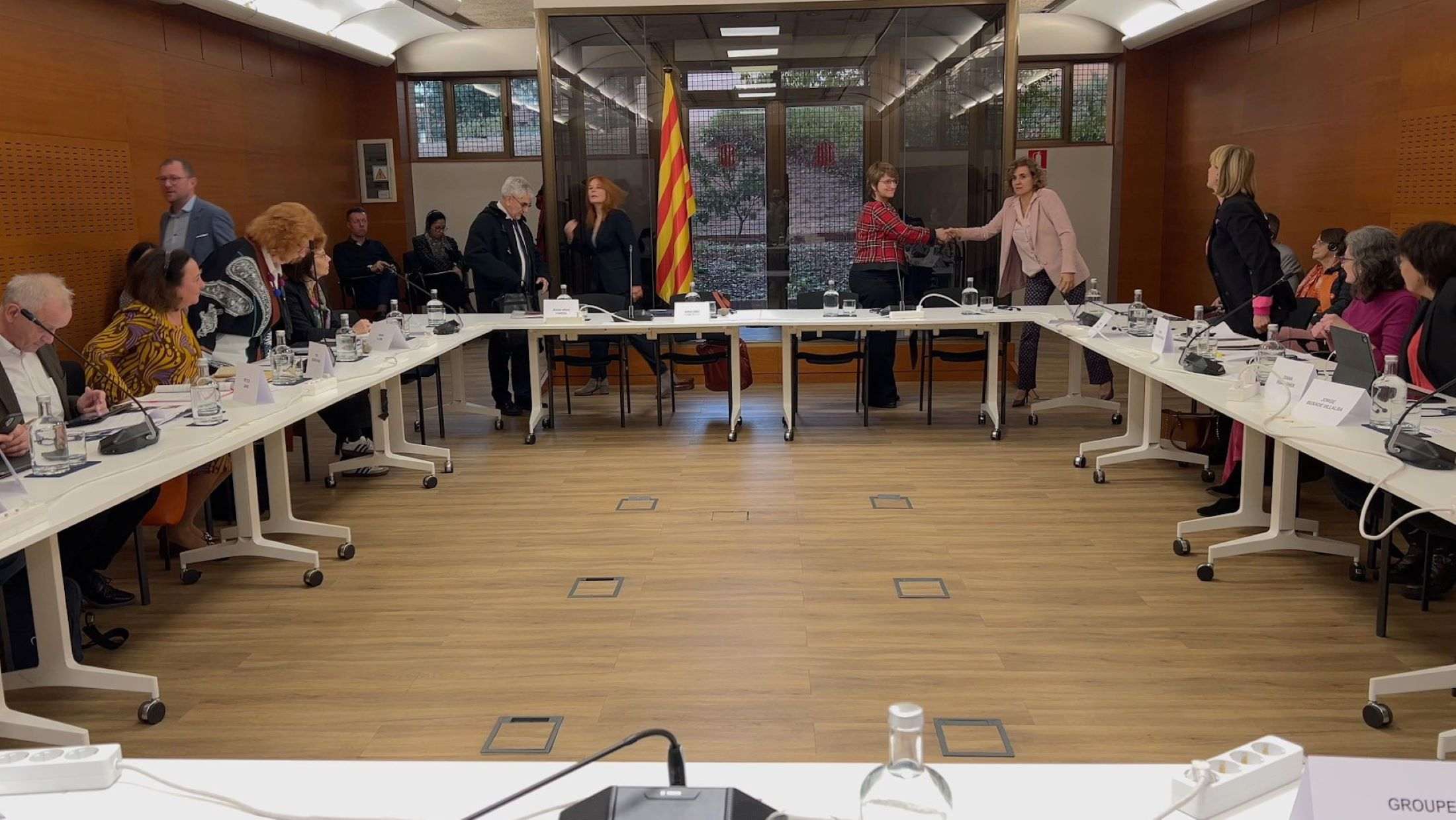 Simó creu que els eurodiputats "venien amb la tesi de casa" en la seva visita per la immersió