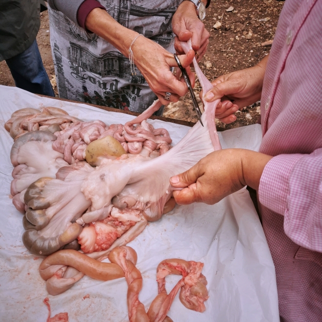 Matança_porc_8 Matança_porc_8