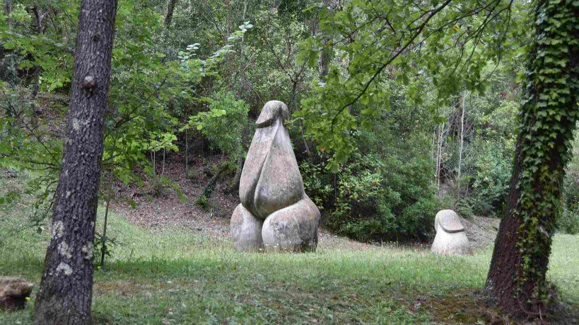 Aquest bosc català no és apte per a nens, no et creuràs el que hi ha allà dins