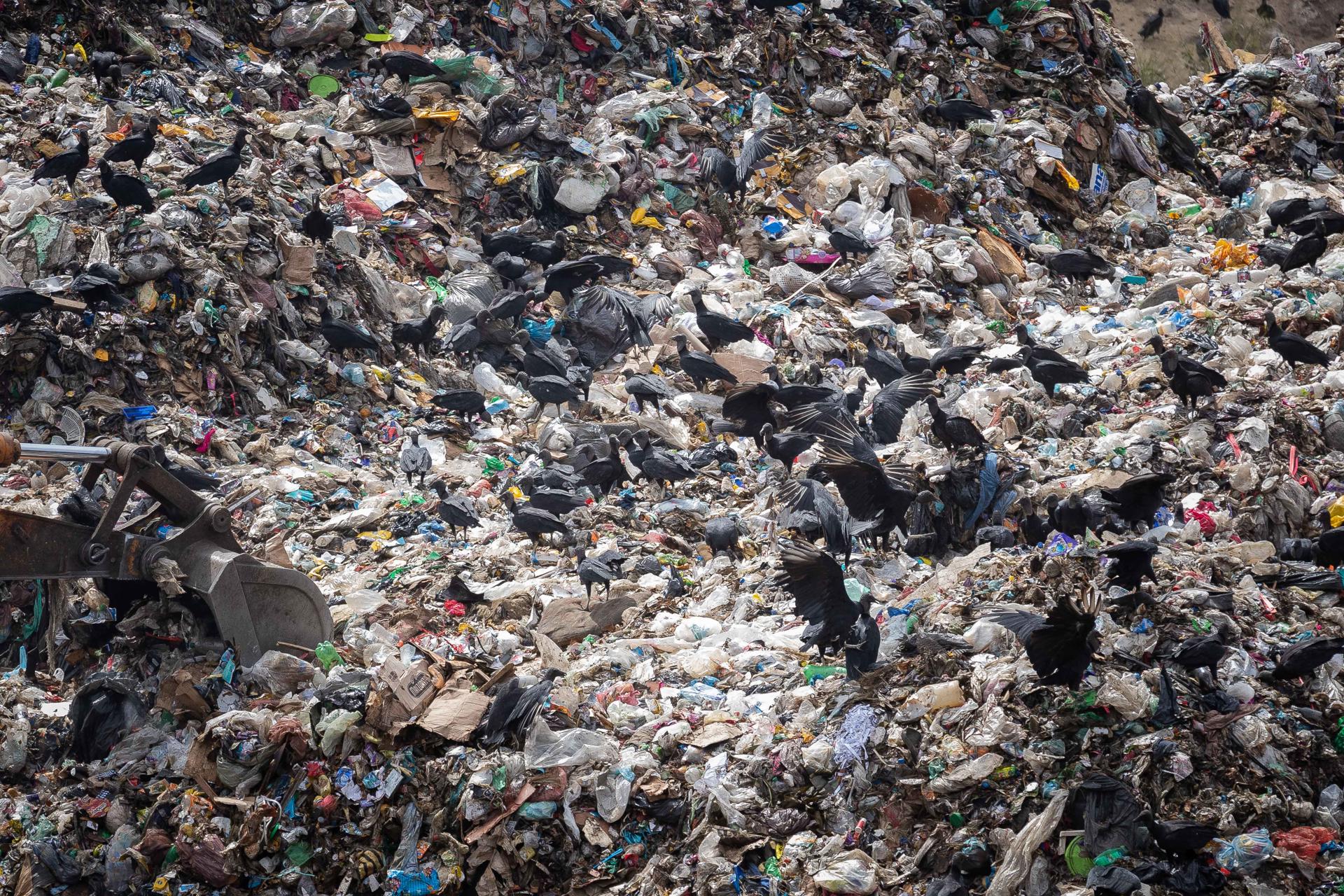 Caracas ( Veneçuela)