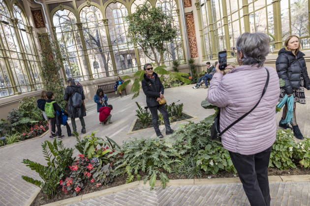 hivernacle / Foto: Carlos Baglietto