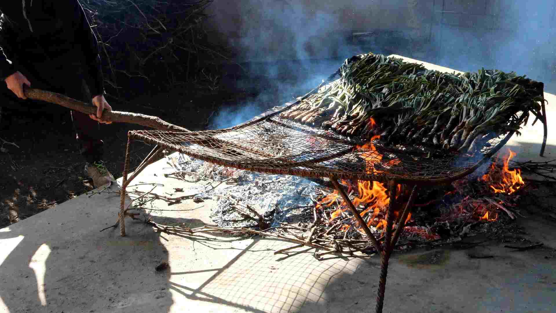 calcots / ACN calcots / ACN