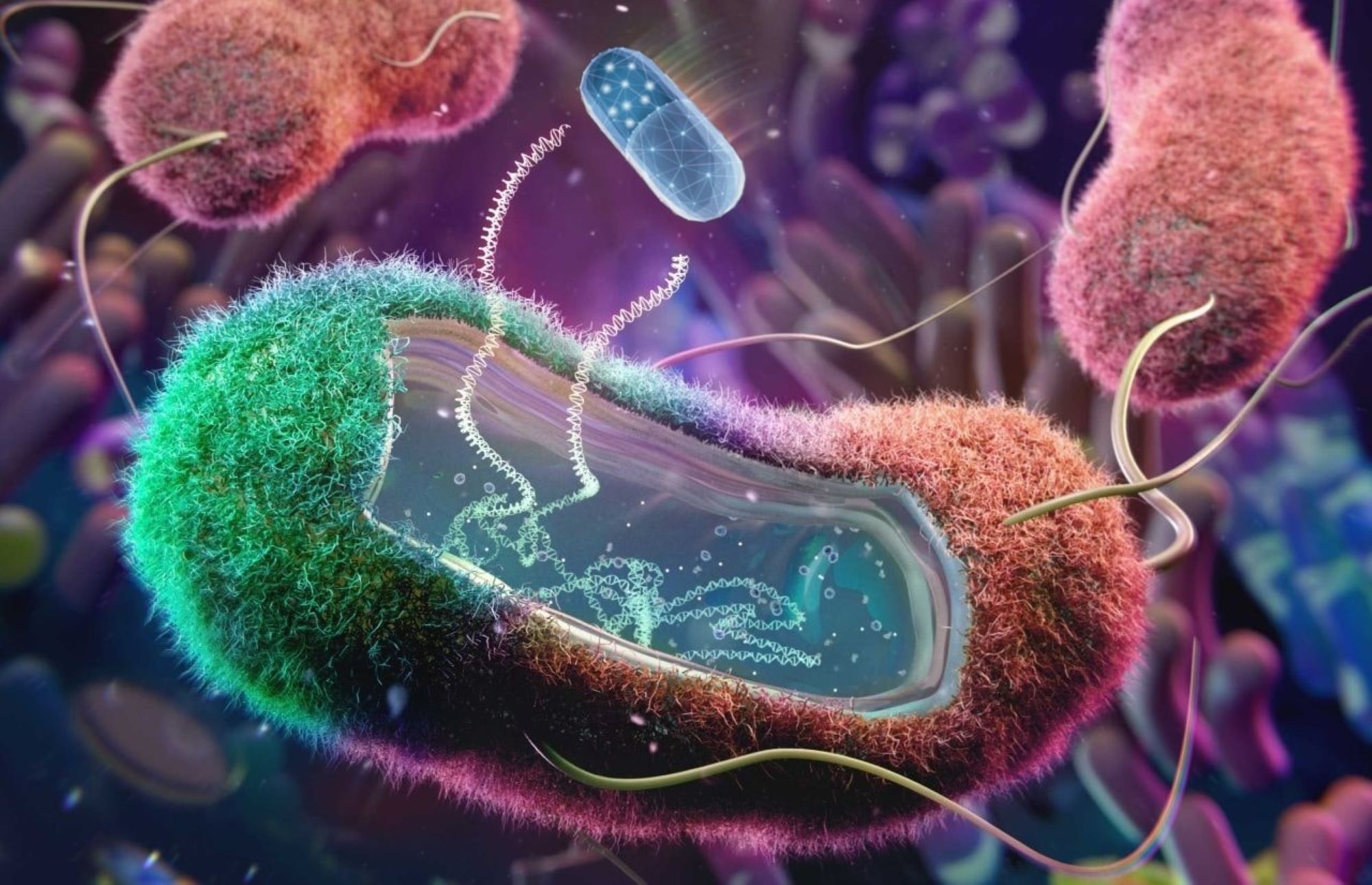 Desenvolupen un antibiòtic que podria acabar amb un dels bacteris multiresistents més perillós