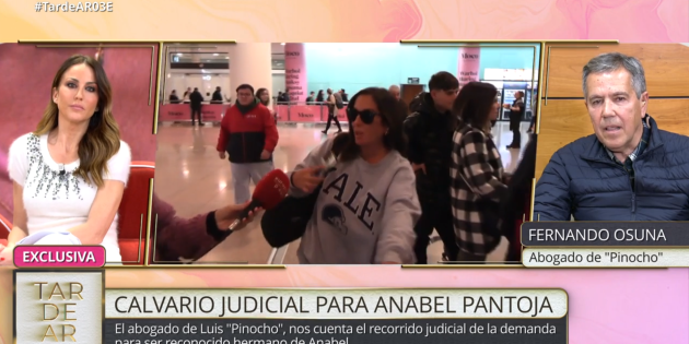 Programa Tarde AR / Telecinco Programa Tarde AR / Telecinco