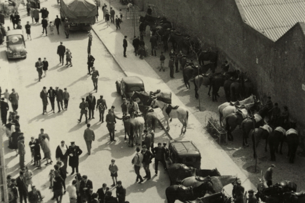 1963 03 11 Concentració de gent i cavalls per la diada de Sant Medir en el carrer de las Panas (Anselm Cartañà Gómez) Arxiu Històric de Sants 1963 03 11 Concentració de gent i cavalls per la diada de Sant Medir en el carrer de las Panas (Anselm Cartañà Gómez) Arxiu Històric de Sants