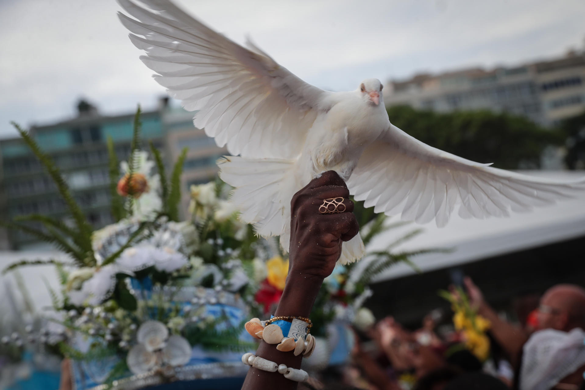 Rio de Janeiro (Brasil) Rio de Janeiro (Brasil)