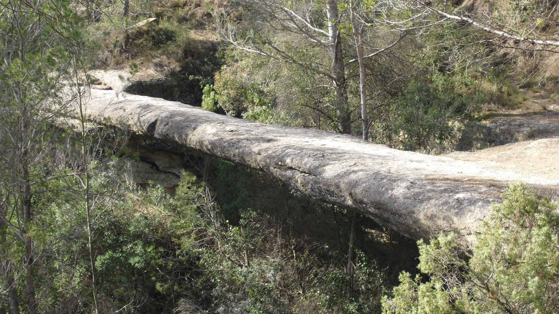 Pont Foradat de les Arnaules: visita, ruta i curiositats