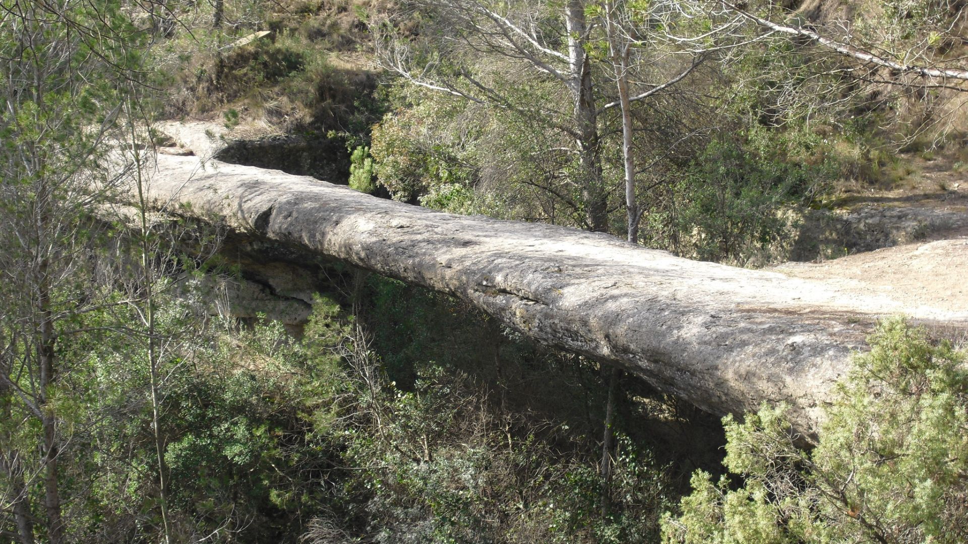 Pont Foradat de les Arnaules: visita, ruta i curiositats