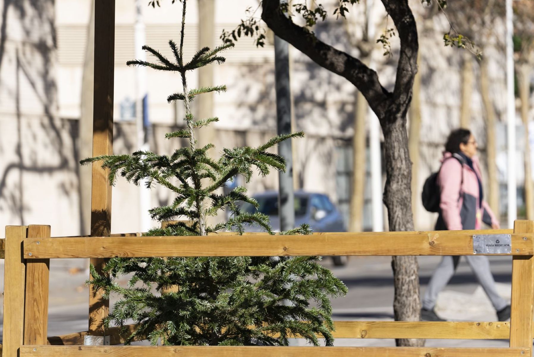 ¿Dónde llevar el árbol de Navidad? Estos son los 227 puntos de recogida en Barcelona