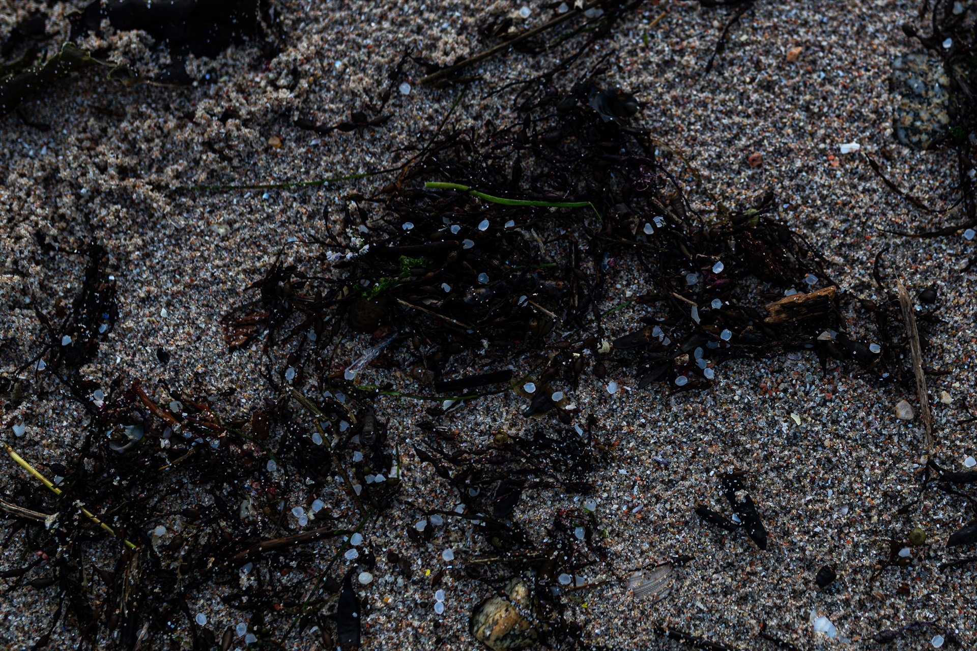 Alarma a Galícia per l'aparició de grans quantitats de microplàstics a les platges
