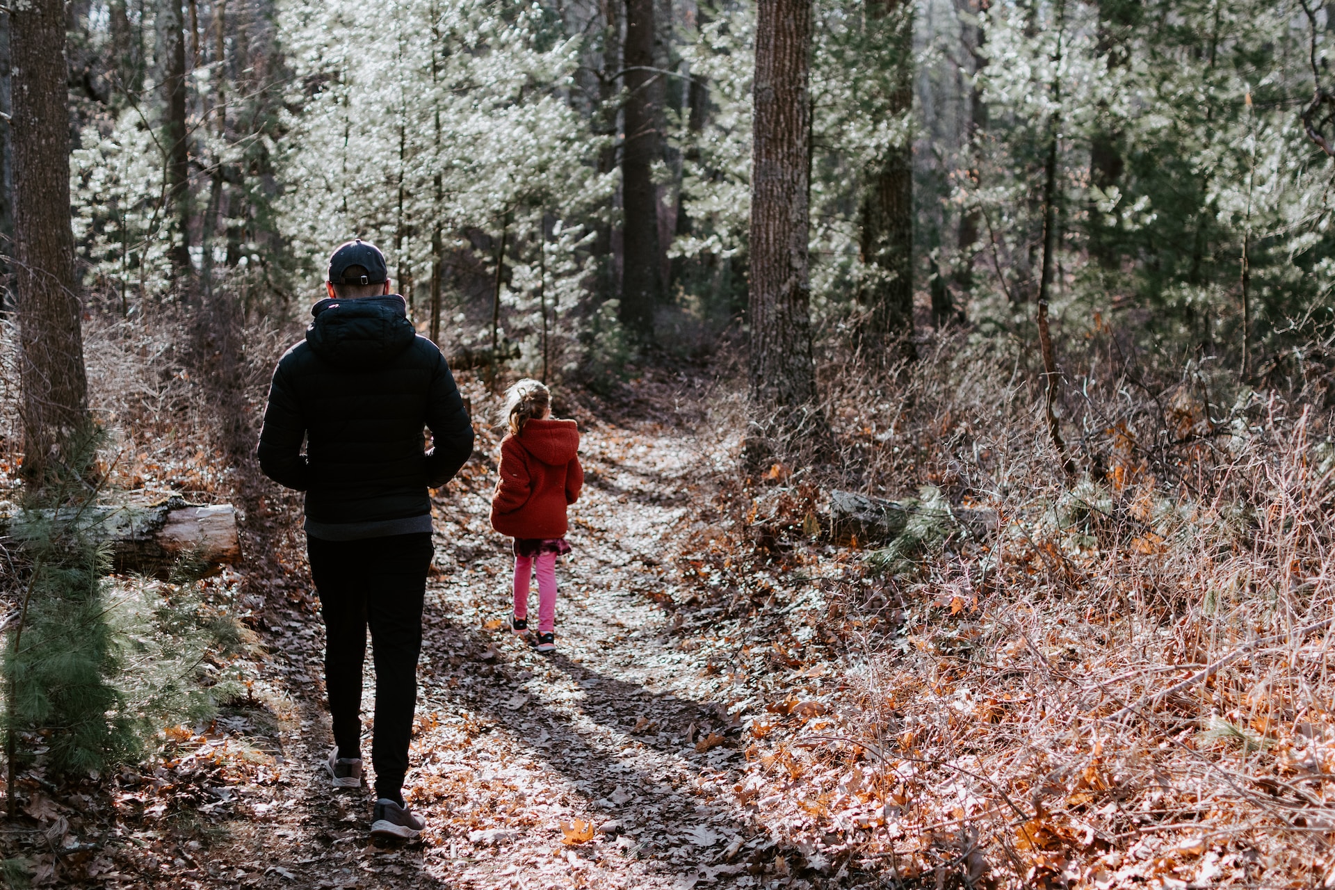 Passejar: un acte simple amb grans recompenses