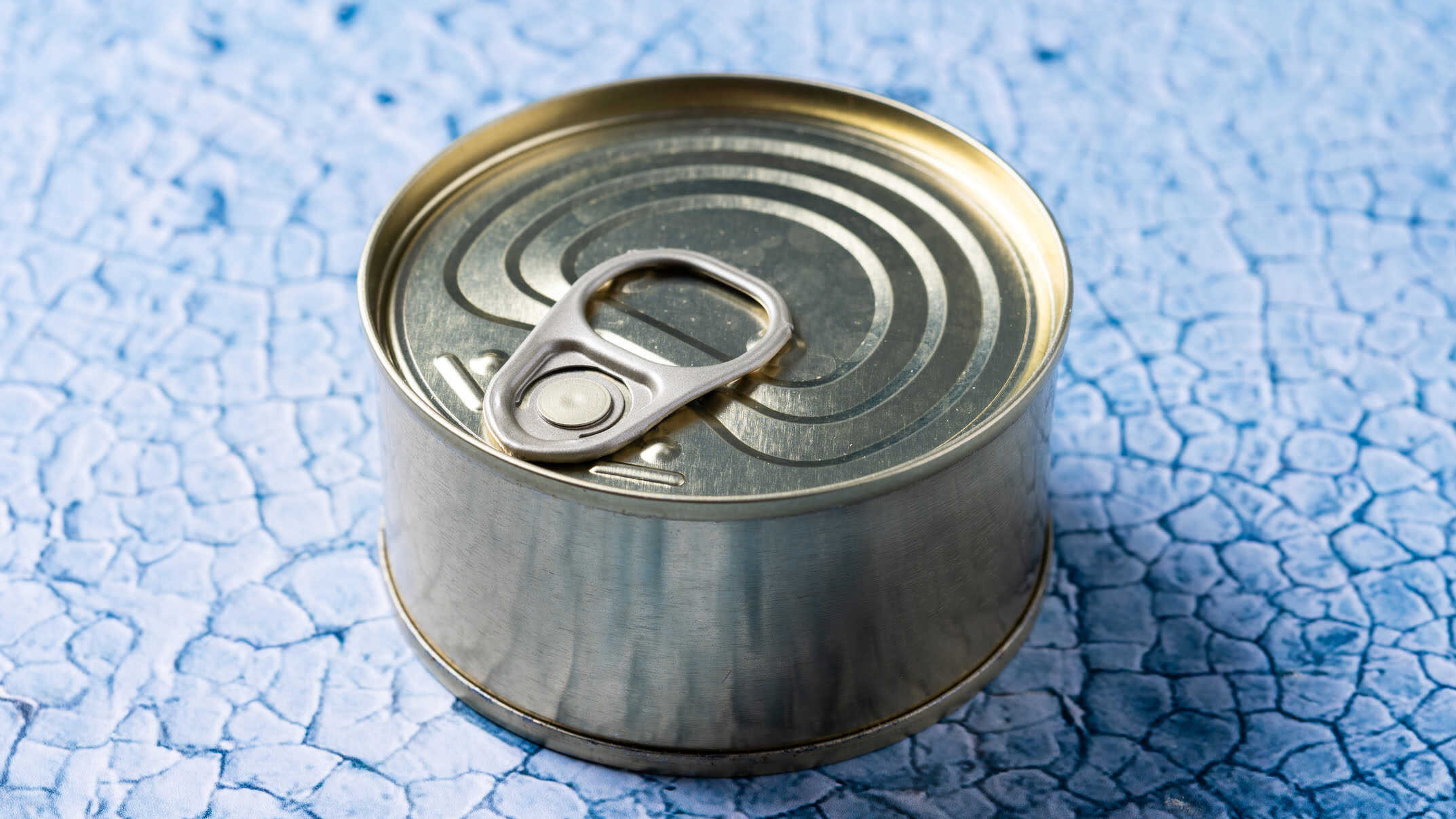 Deja de tirar las latas de atún: 3 ideas para decorar tu casa reconvirtiendo estos recipientes
