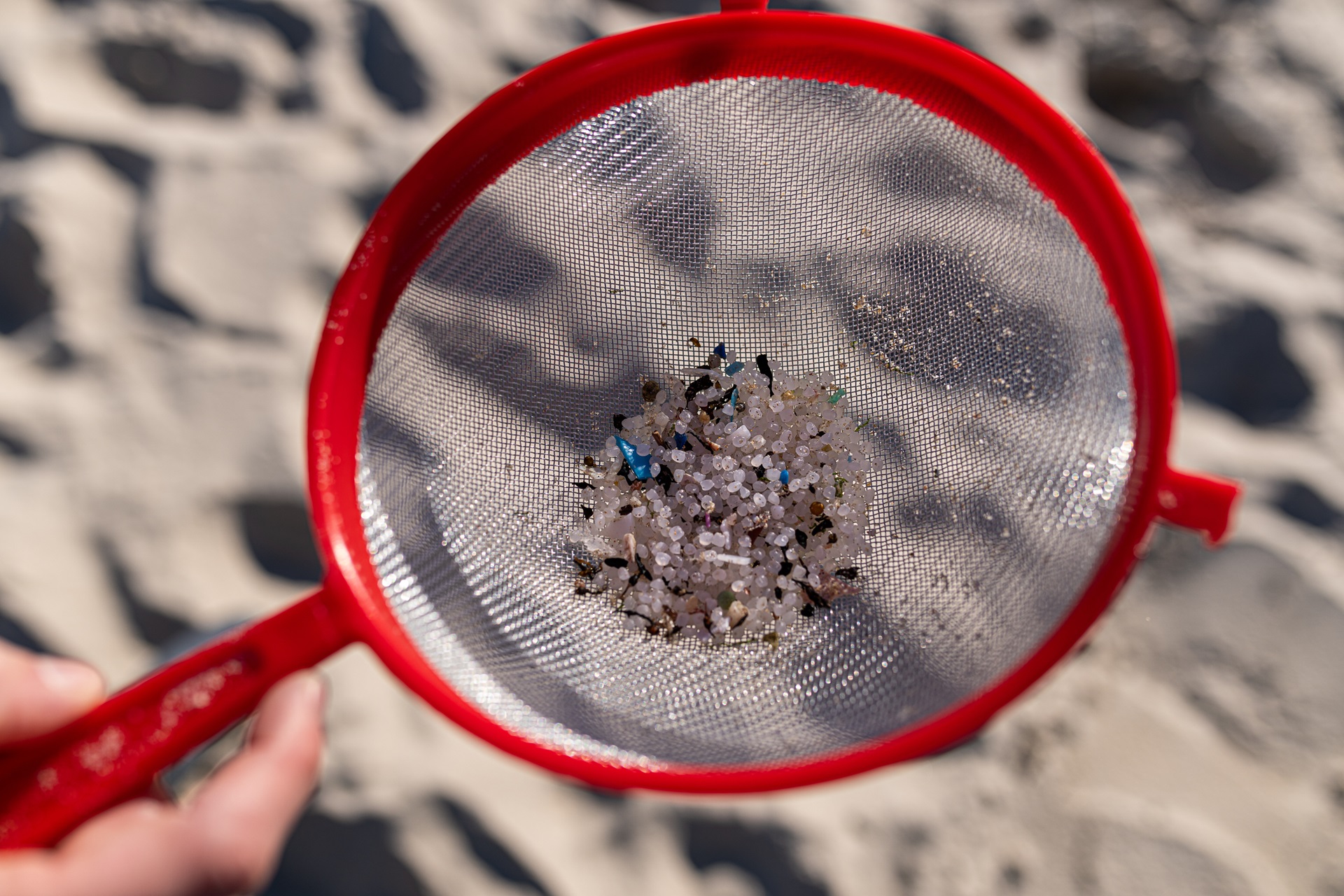 What are the plastic pellets that have washed up on the coasts of Galicia?
