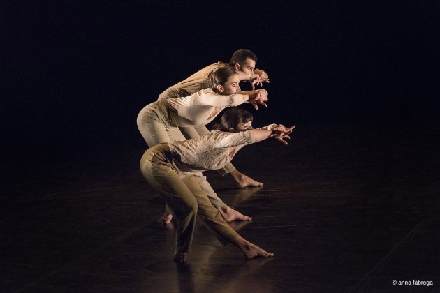 AlesGolfes AlesGolfes