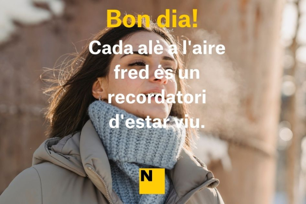 BUENOS DIAS FRIOS FRASES BUENOS DIAS FRIOS FRASES