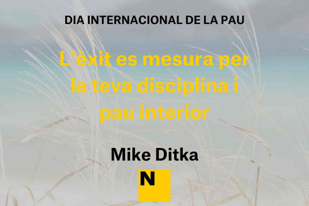 imatges del dia de la pau amb frases