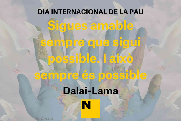 frases dia de la pau