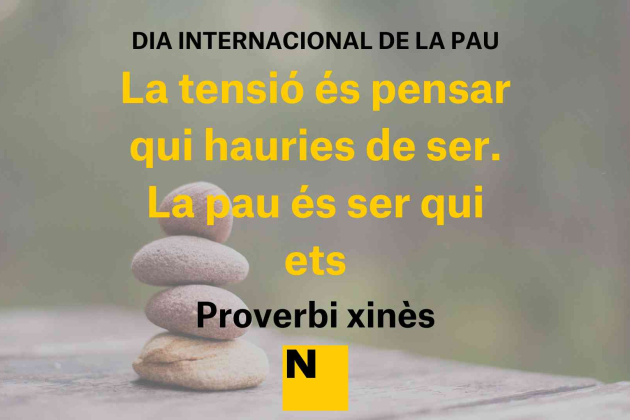 frases dia internacional de la pau