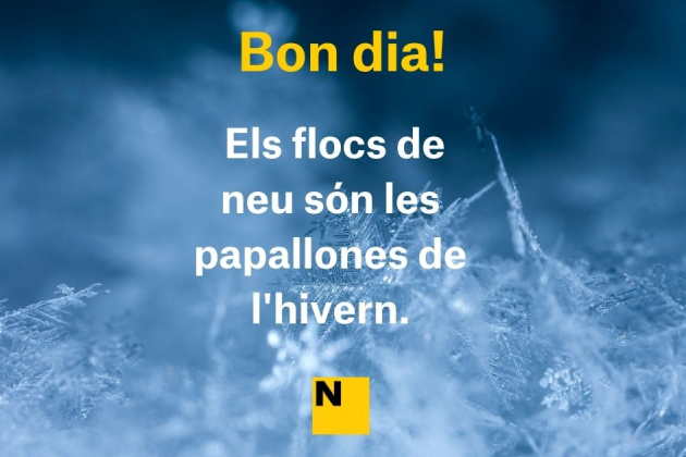 BON DIA HIVERN FRASES (3) BON DIA HIVERN FRASES (3)