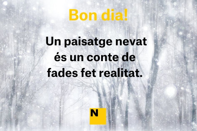 BON DIA HIVERN FRASES BON DIA HIVERN FRASES