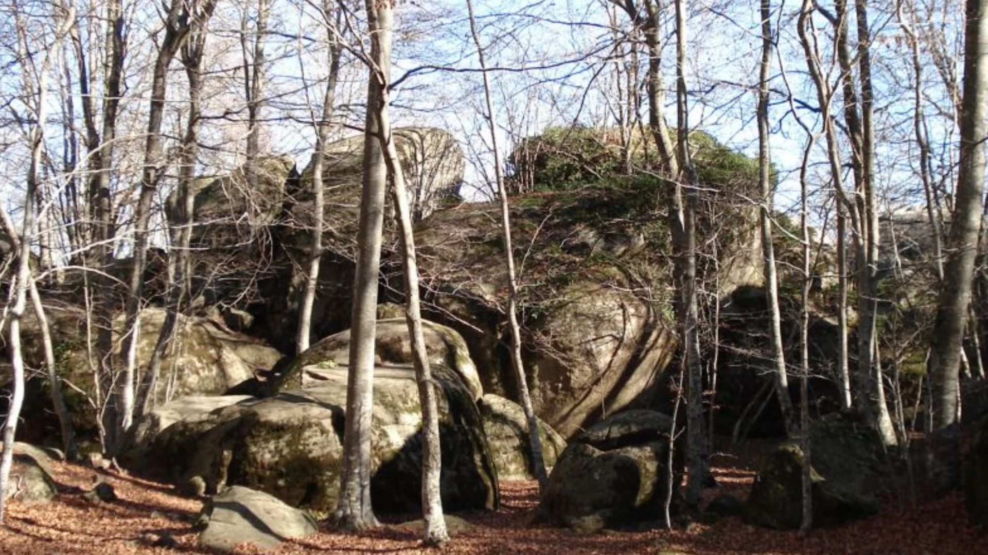 Aquesta és la bonica fageda catalana on podràs visitar les roques encantades més misterioses