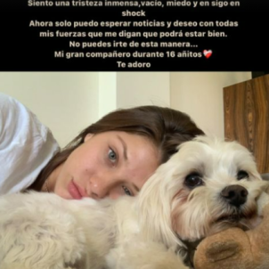 Anita Matamoros, les paraules al seu gos Ringo / Instagram