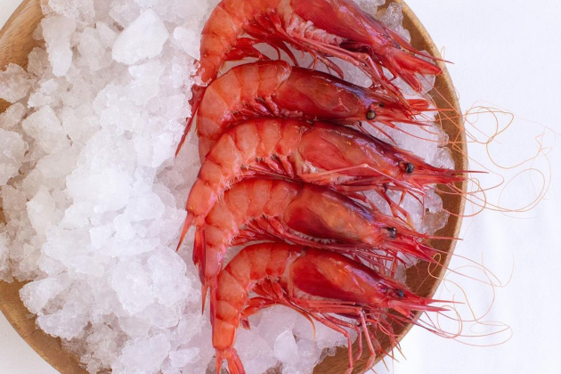 gambas / AdEM gambas / AdEM