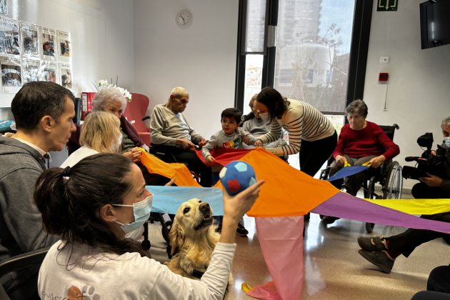 terapia con perros / CST terapia con perros / CST