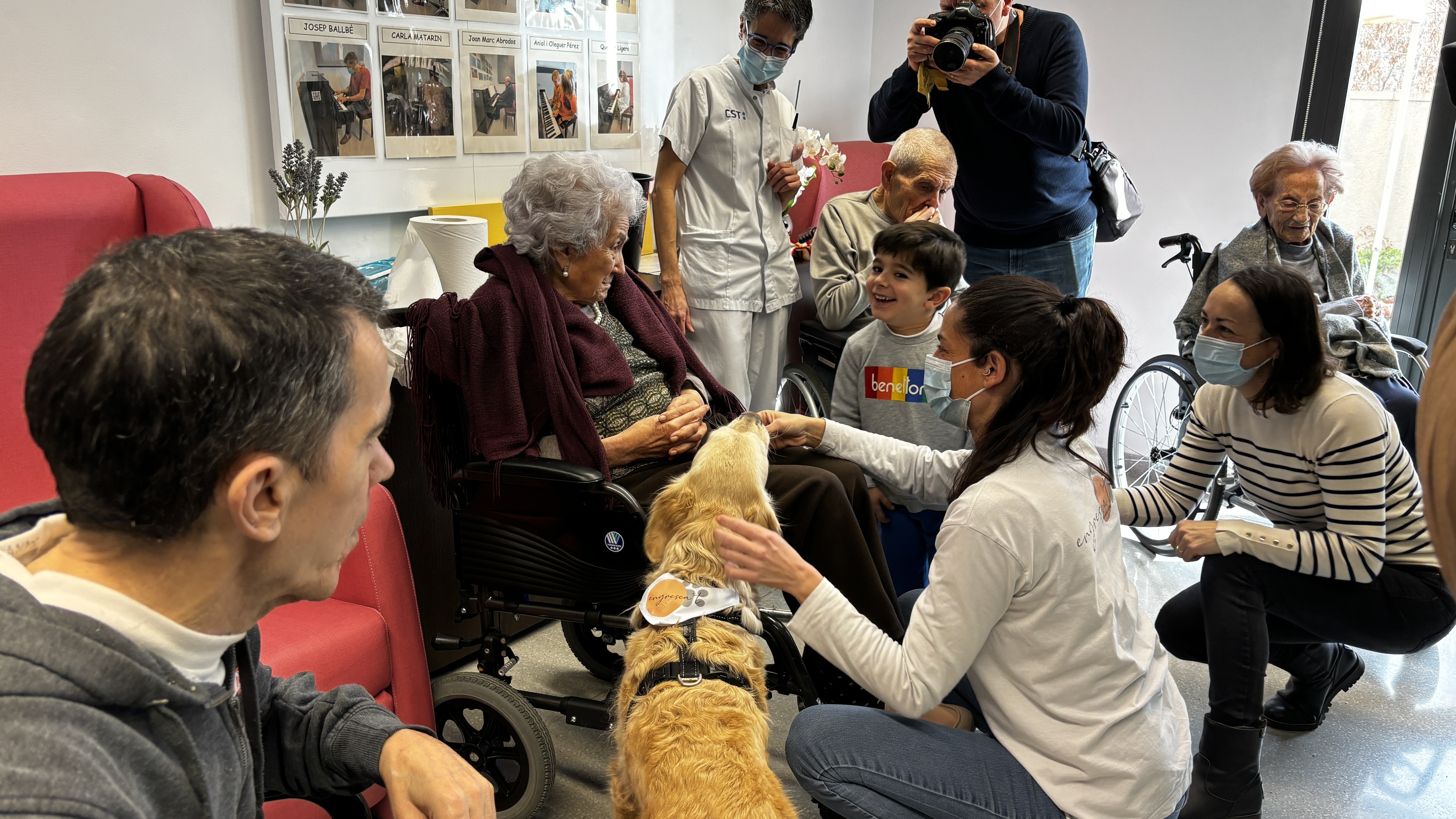 Una terapia con perros mejora el bienestar de personas mayores y niños con autismo