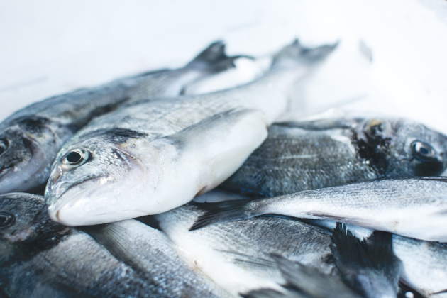 Pescado, clave para tú omega 3