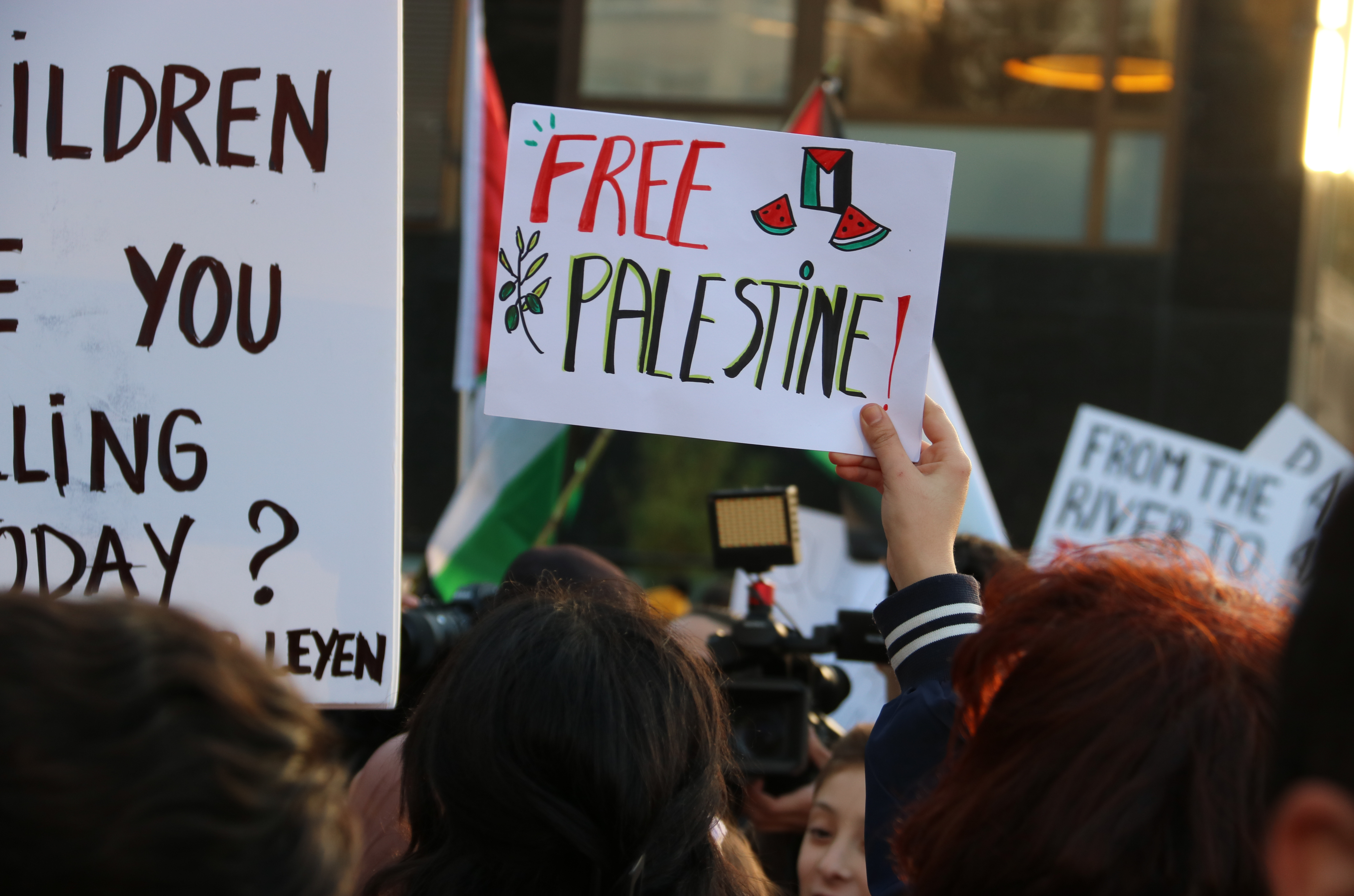 Creus que Israel ha d'acceptar la solució dels dos Estats?