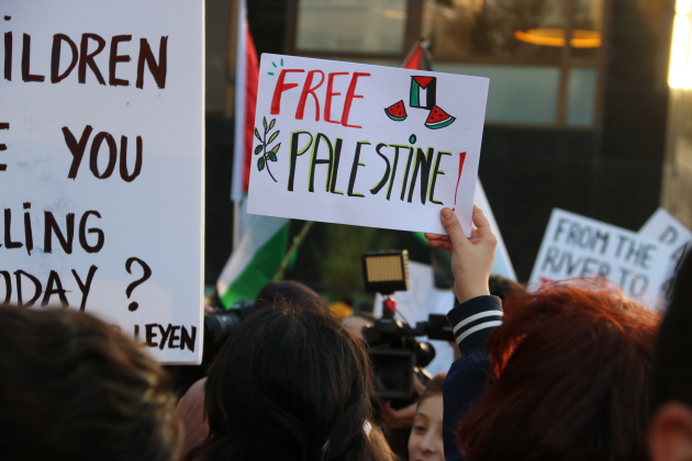 manifestacio a favor de l'alto el foc a palestina a Barcelona. ACN