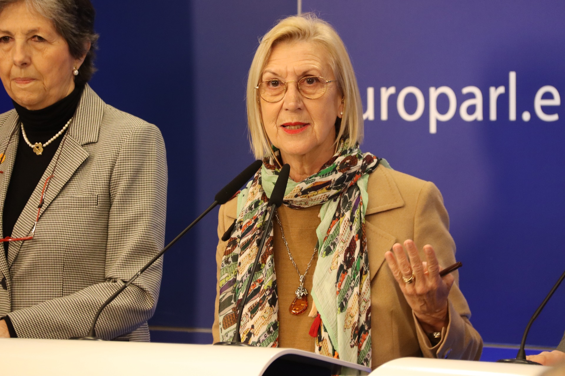 Rosa Díez denuncia la ley de amnistía ante el comité de Peticiones de la Eurocámara