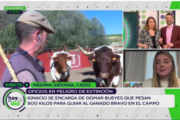 Toñi Moreno y Juan Carlos Gonzalez Hoy en día / Canal Sur Toñi Moreno y Juan Carlos Gonzalez Hoy en día / Canal Sur