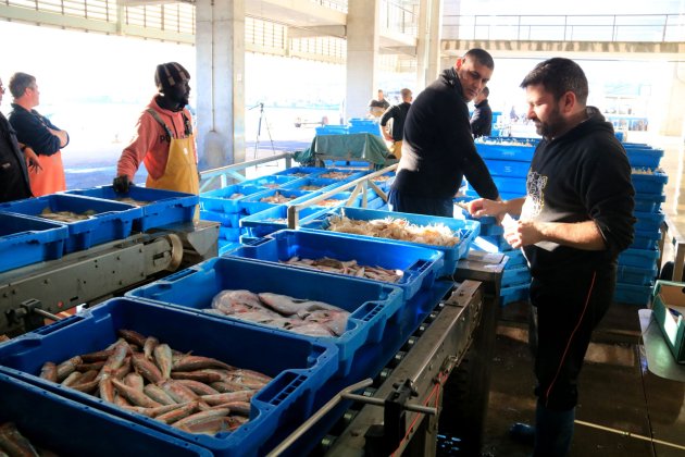 Pescadors entrant peix a la llotja de la Ràpita / Foto: Anna Ferràs - ACN Pescadors entrant peix a la llotja de la Ràpita / Foto: Anna Ferràs - ACN