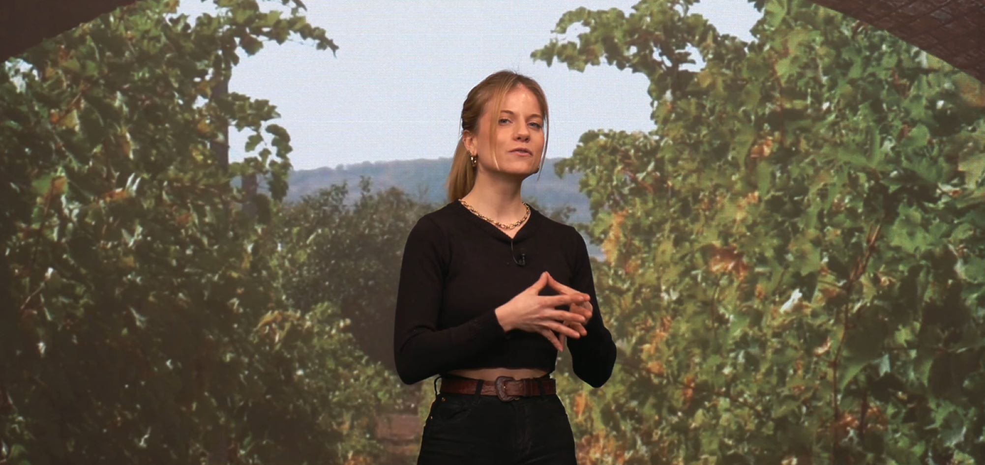 ¿Tristeza, rabia o felicidad? Un vino majestuoso para cada sentimiento