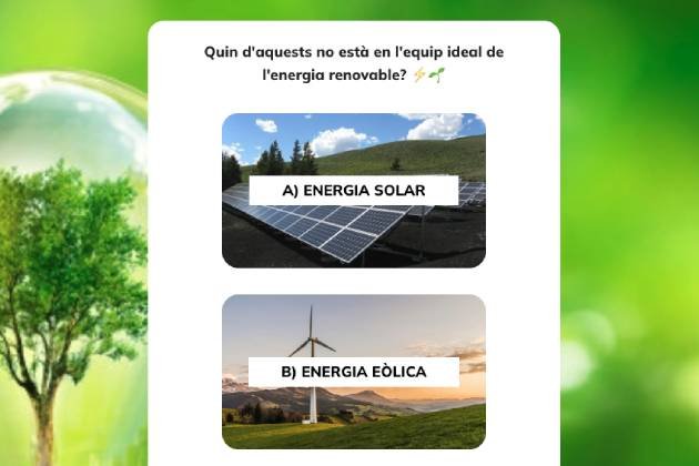 Qüestionari Educació Ambiental Qüestionari Educació Ambiental