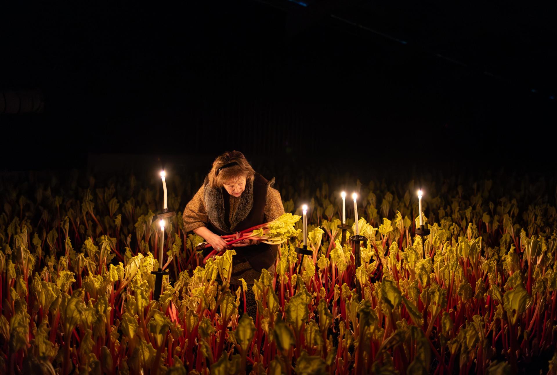 Rothwell (Reino Unido)