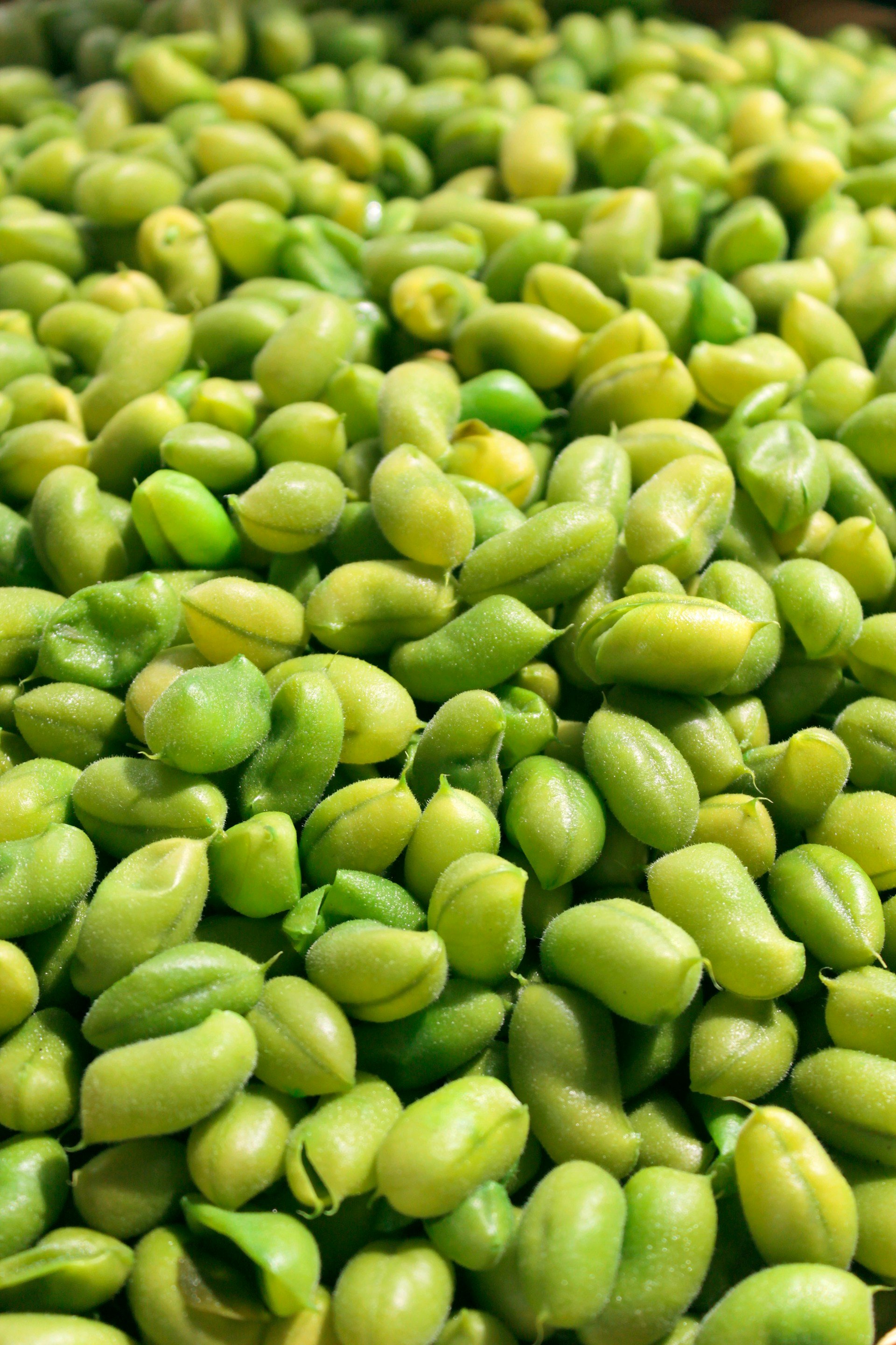 El nou pica-pica: l'edamame sec