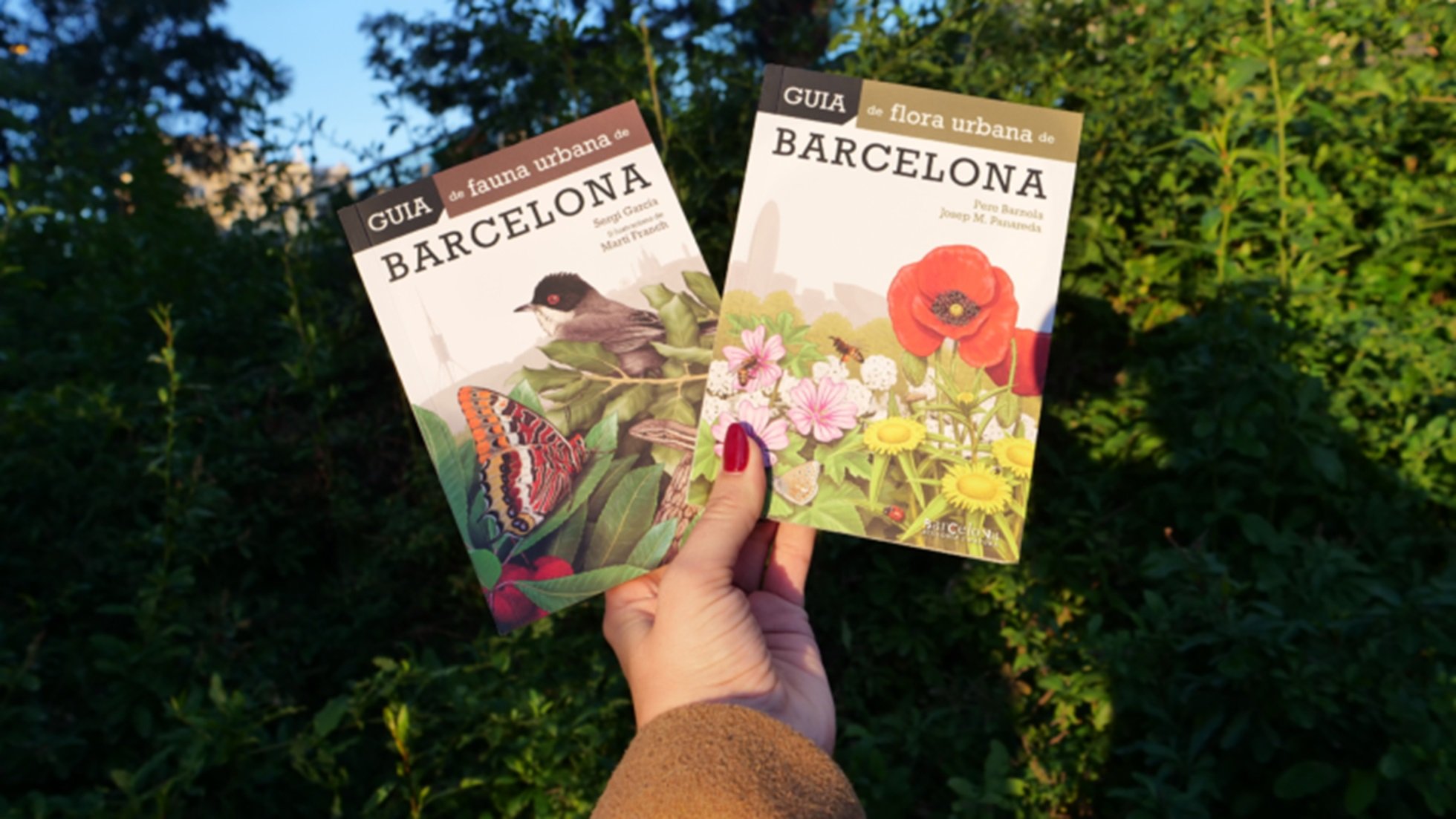 El Ayuntamiento de Barcelona publica dos guías para conocer la flora y la fauna de la ciudad