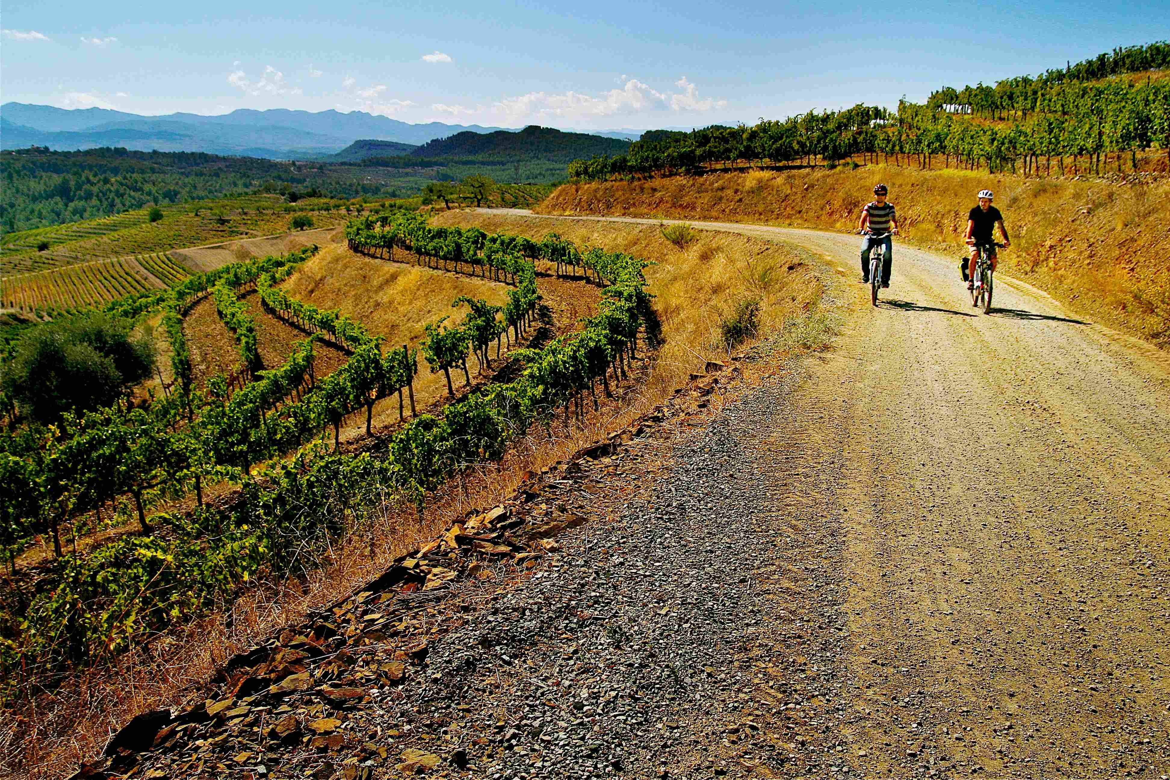 El Priorat, un espectáculo vinícola