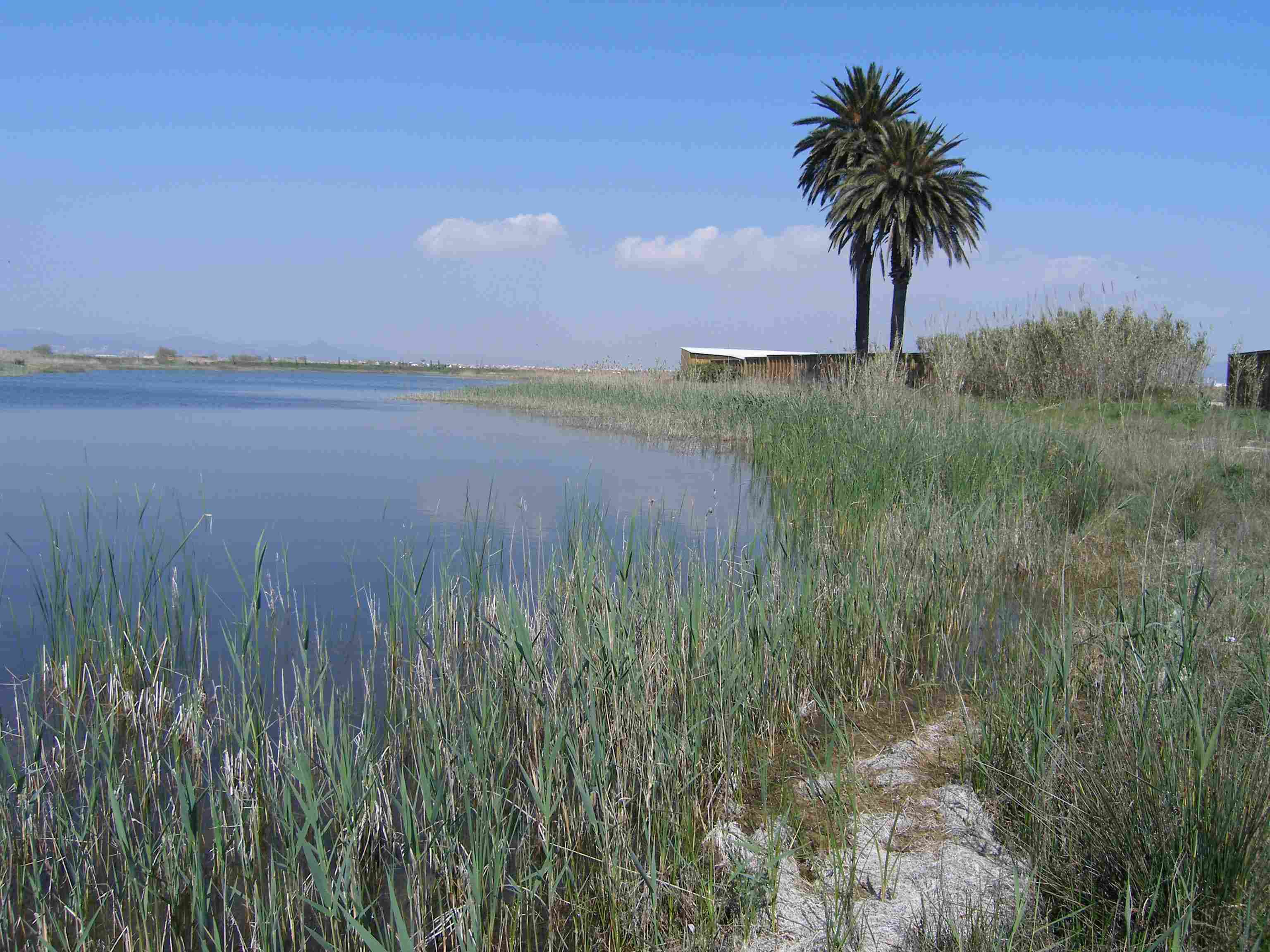El Delta del Llobregat: natura periurbana