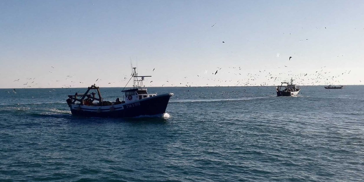 barcos de pesca