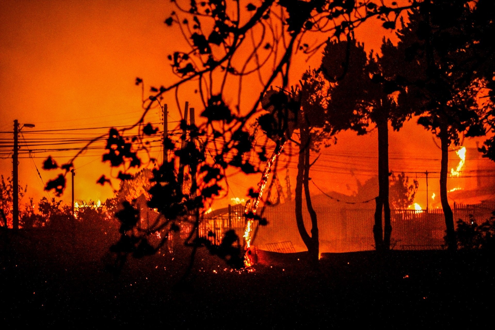 Un devastador incendio en Chile causa al menos 51 muertos, miles de desaparecidos y 3.000 viviendas calcinadas