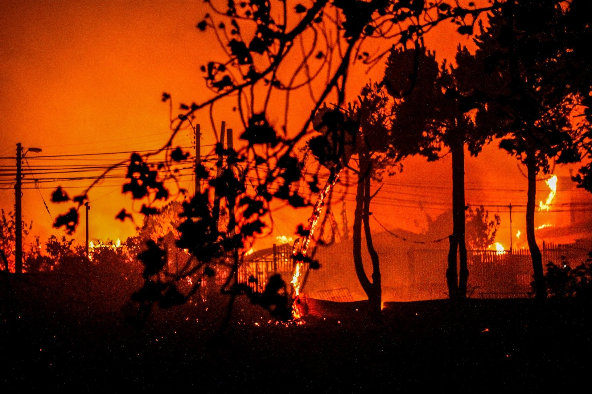 Un devastador incendi a Xile causa almenys 51 morts, milers de desapareguts i 3.000 habitatges calcinats