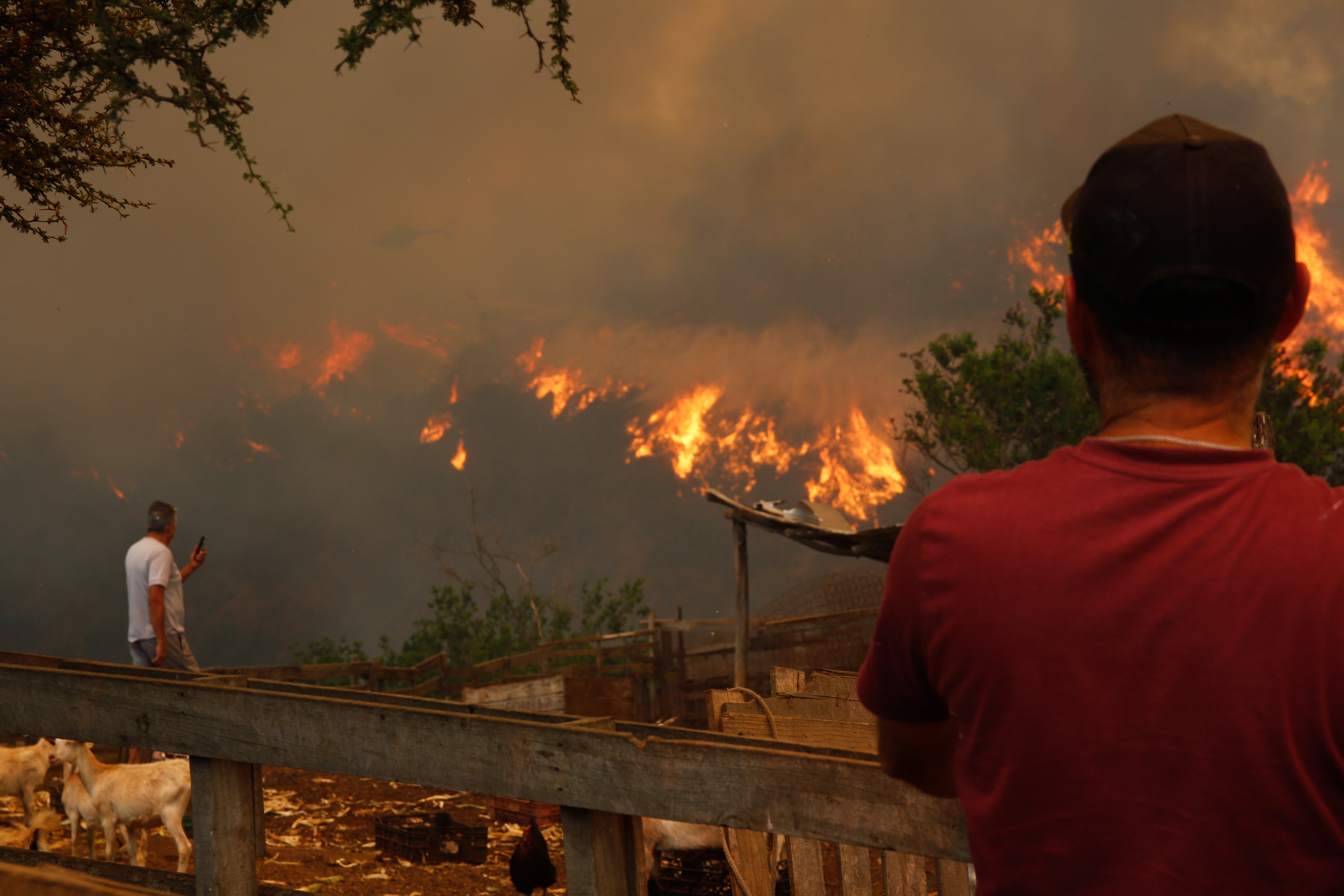Sube a 64 la cifra de muertos en los incendios de Chile y las autoridades avisan: "Crecerá significativamente"