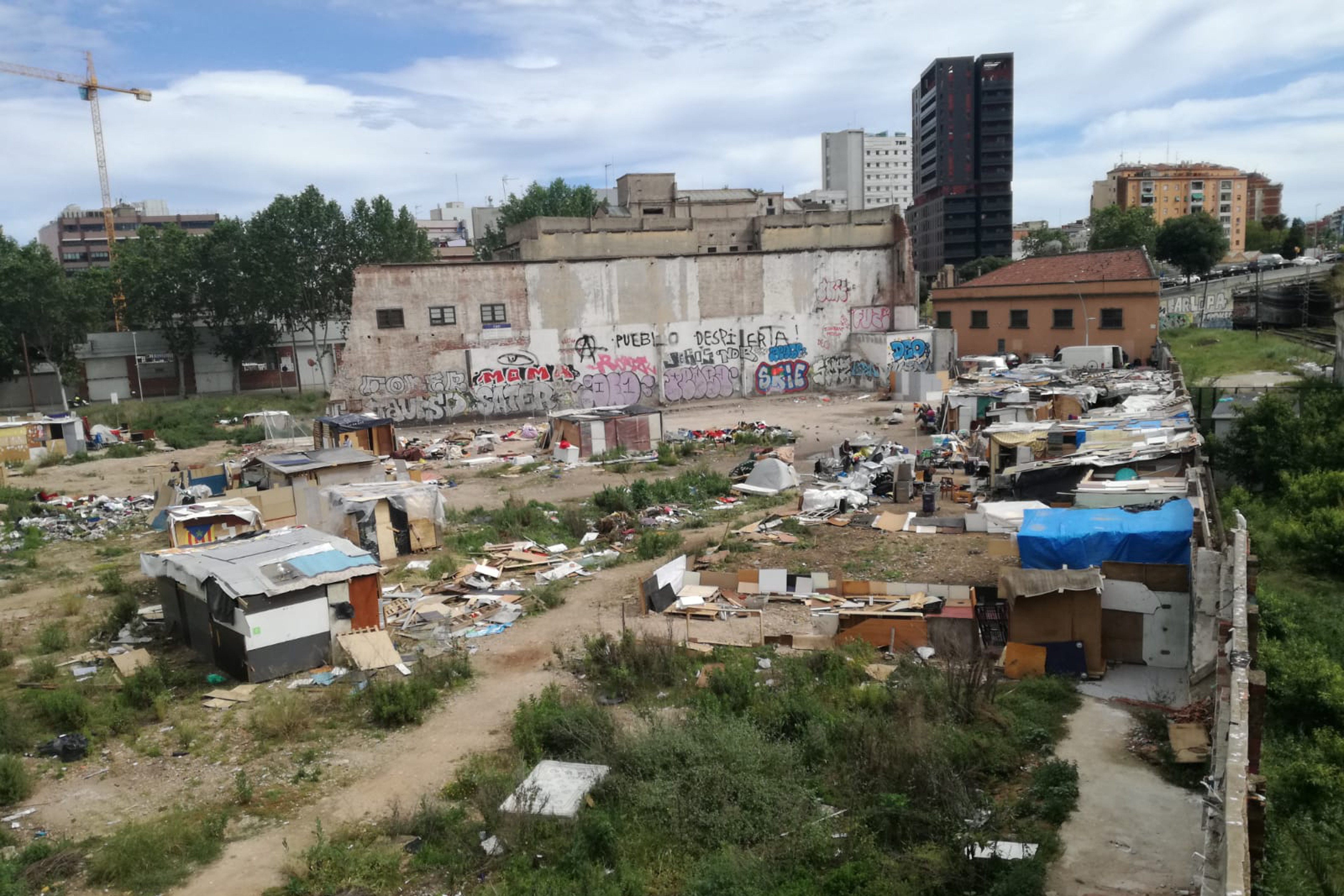 La Síndica demana explicacions a Colau sobre la proliferació de sensellar