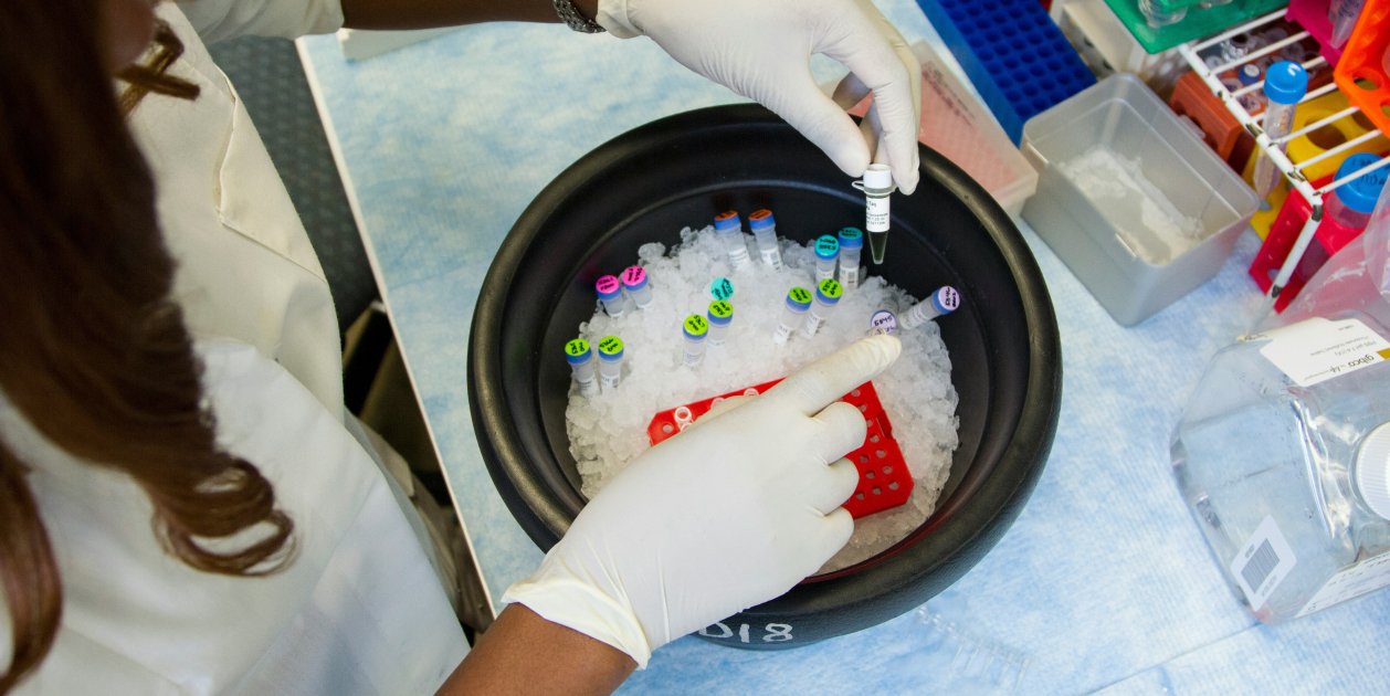 mostres investigació