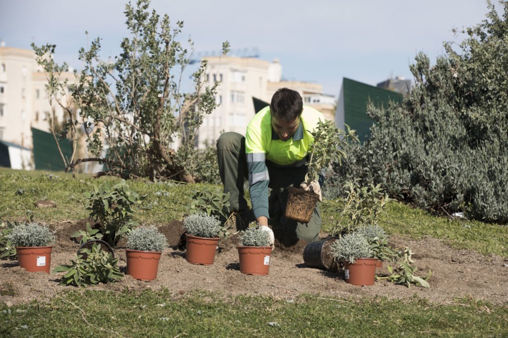 Dos sindicats convoquen vaga a Parcs i Jardins de Barcelona pels canvis en el reg per la sequera